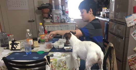 人間と一緒の目線なのは…