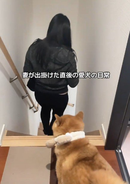 ママのお見送り