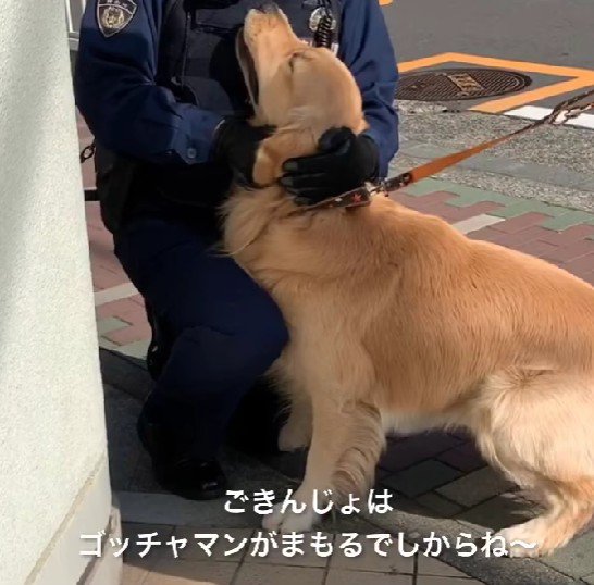 微笑ましい光景にホッコリ