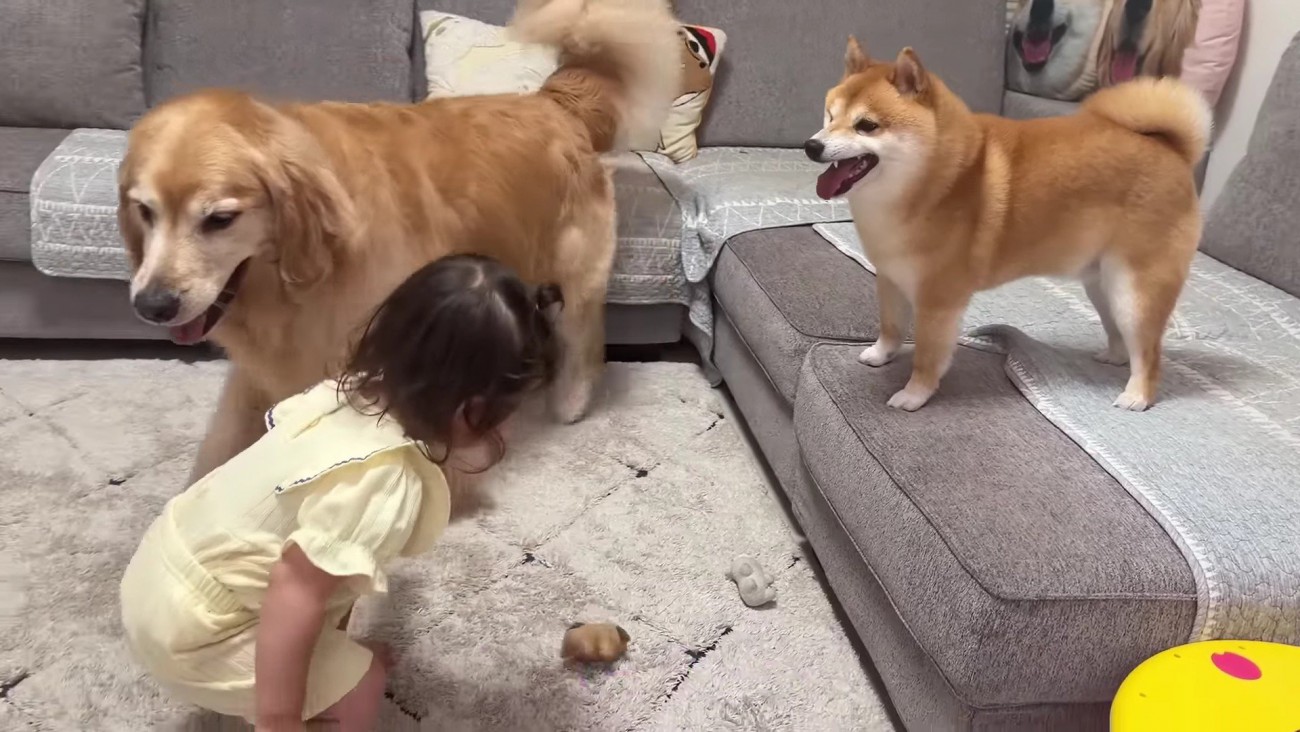 「ほのちゃん、今のうち！」