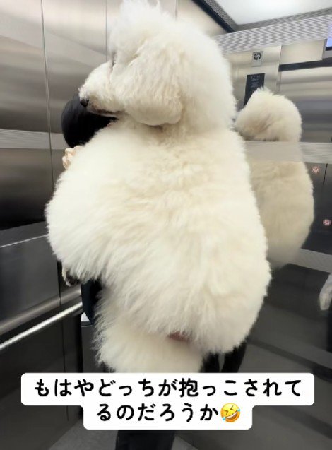 エレベーターでも！！