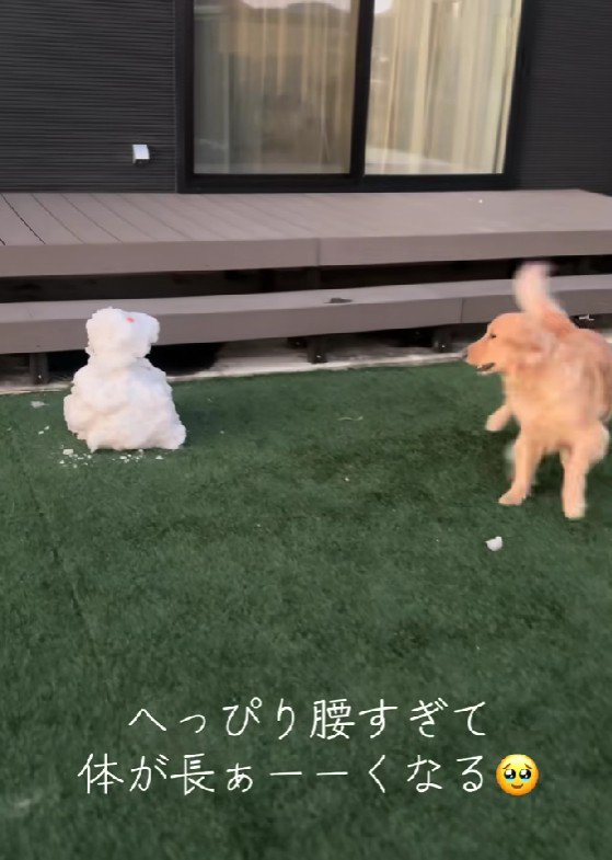 「知らないからな！！」