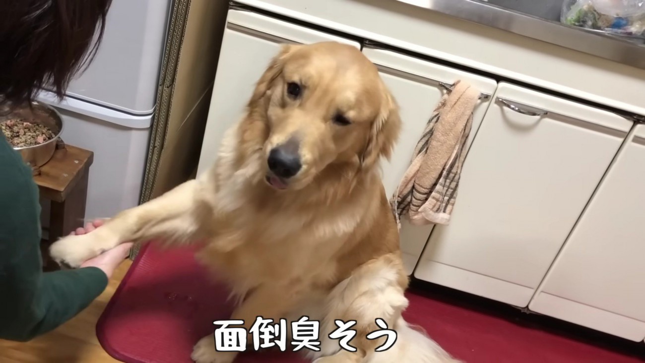 「めんどうくさいな…」