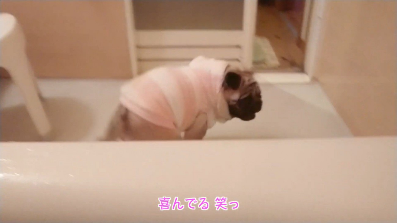 くるりと回って大喜び♪