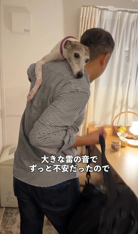 雷が鳴った時のきびちゃん6