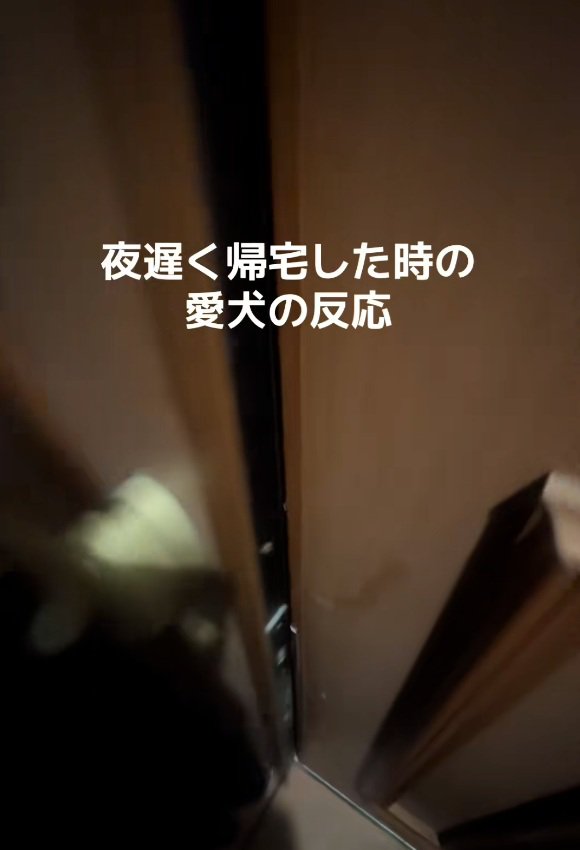 ドアを開ける飼い主さん