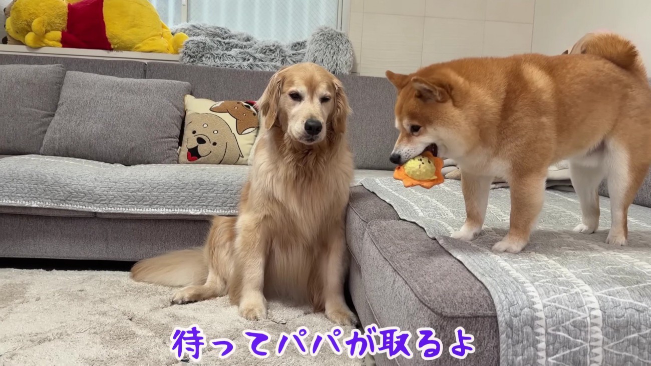 自慢げなうにくんにクスッ