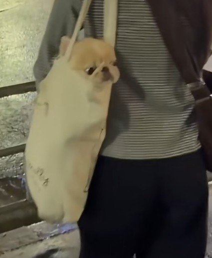 顔がひょっこり♡