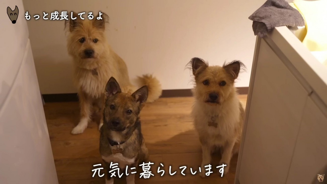 これからも幸せにね