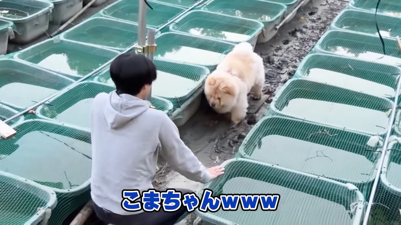 なんとか救出された