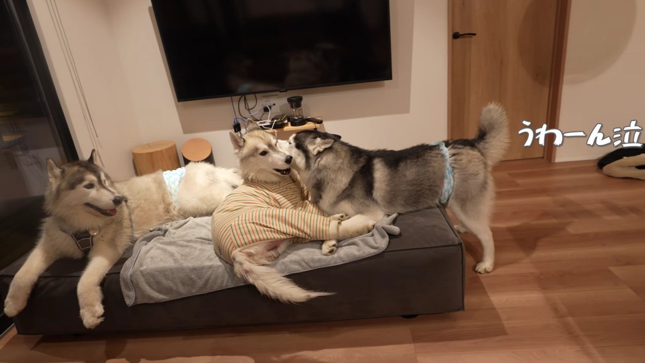 健気な姿にホッコリ