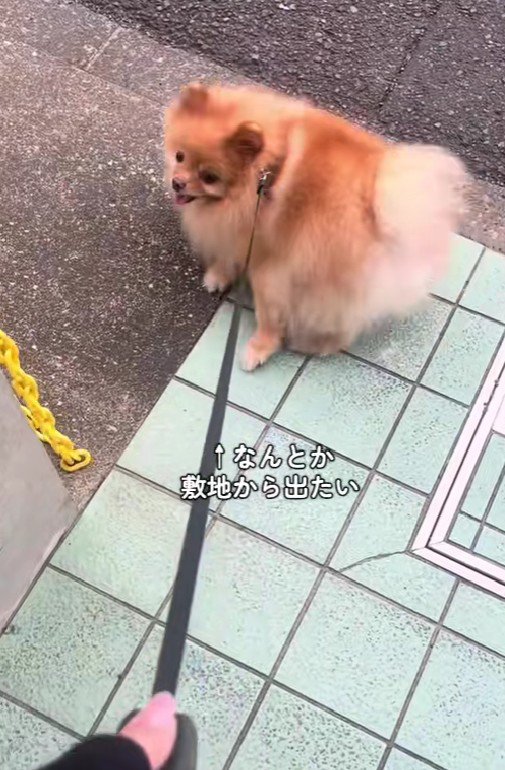 可愛い抵抗にクスッ