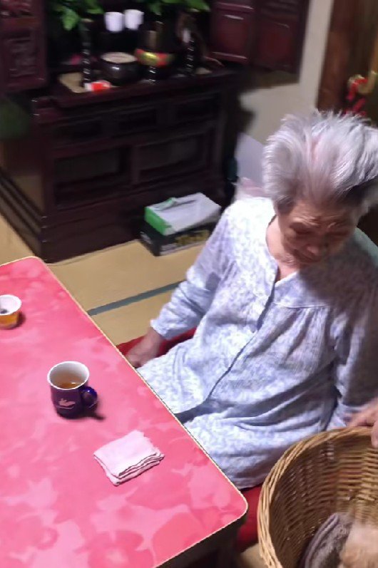 カゴの中には…？