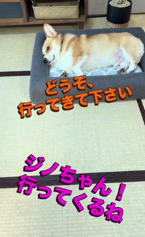 「いってくるね」