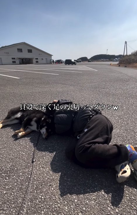 海遊びに疲れて寝転がる柴犬と飼い主