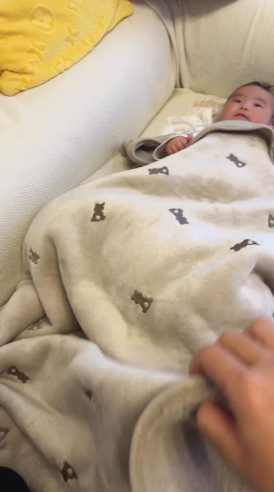 ブランケットをめくろうとする飼い主