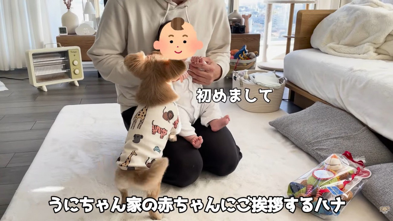 ハナちゃんと赤ちゃんたちの交流2