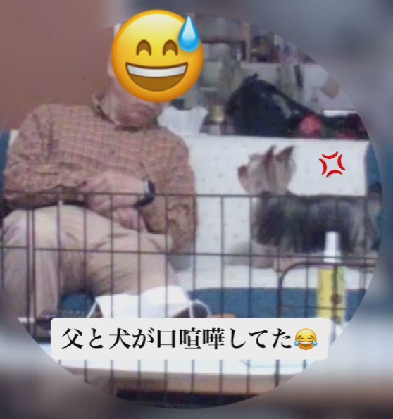 「もう夜だよ」