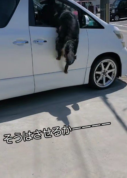 豪快にジャンプ！！
