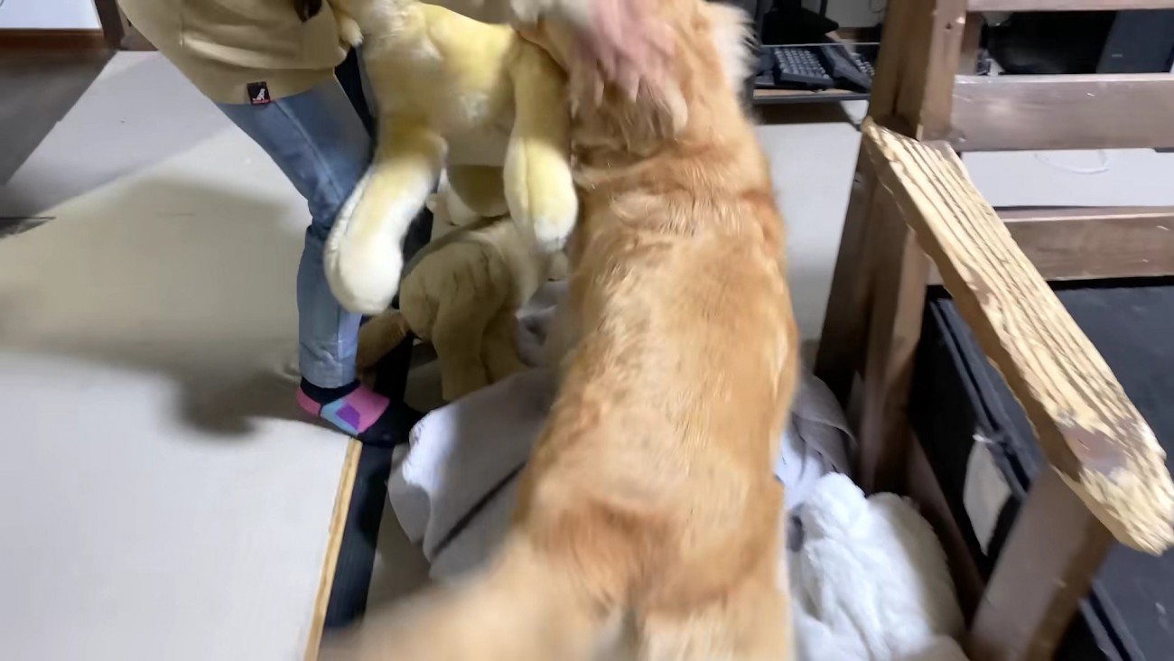 「会いたかったよ～」