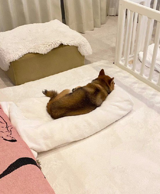 独占してる！！