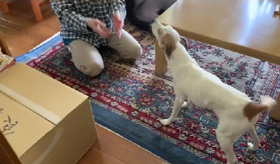 「待ってたんだよ！！」