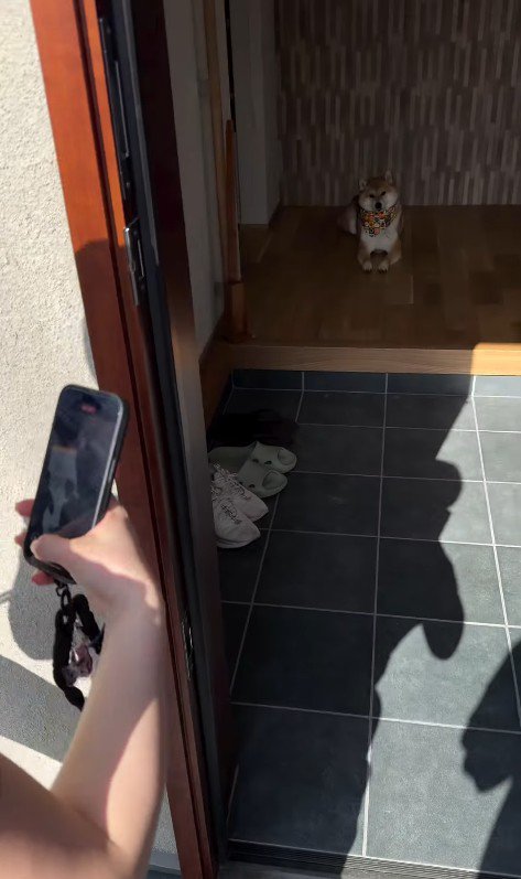 お友達が遊びに来た時のはちちゃん2