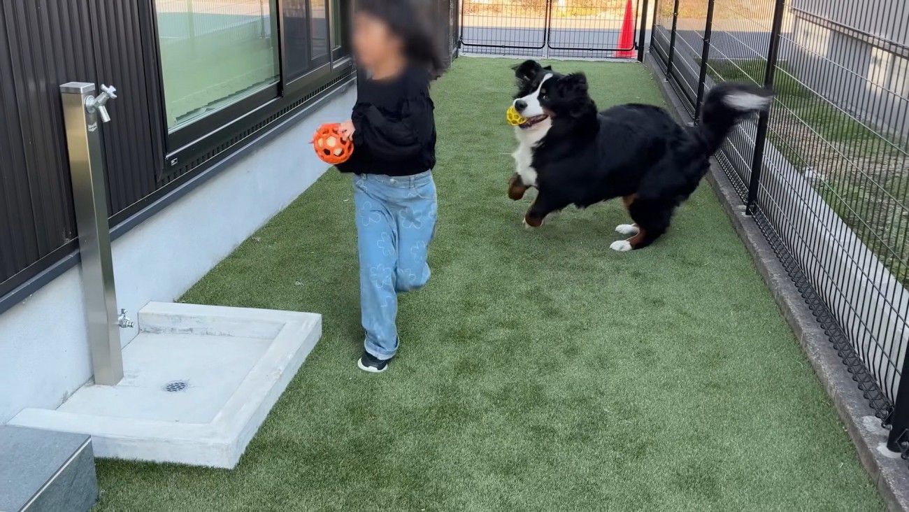 無邪気にはしゃぐ姿が尊い！