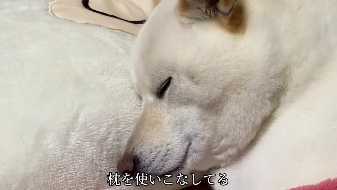 そそくさとやってきて…