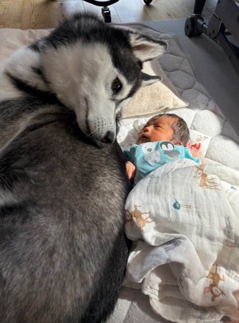 優しく見つめるレイルちゃん