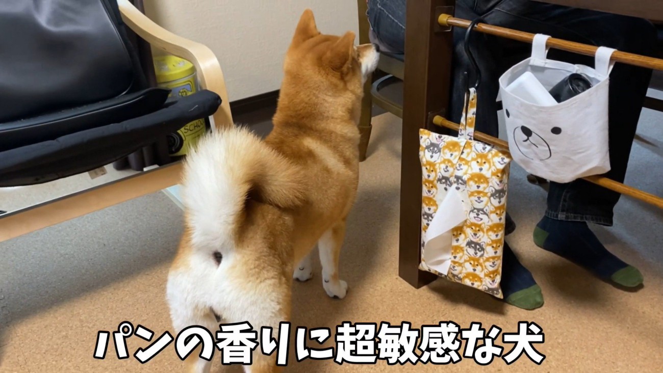 「いい匂い♪何食べてるの？」