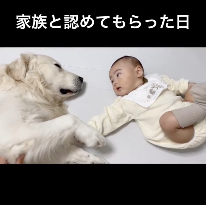 むうさんも手を出してくれた