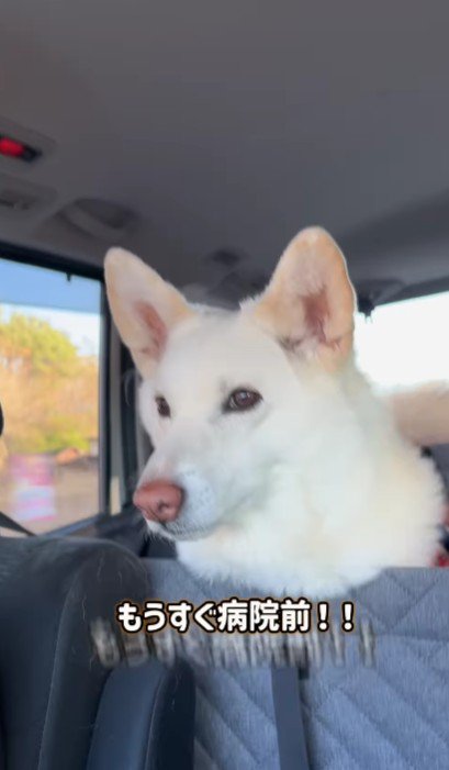 病院を通り過ぎたら…