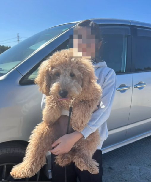 抱っこされる犬2