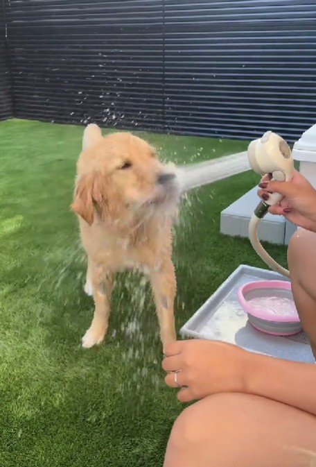 豪快な遊び方にほっこり