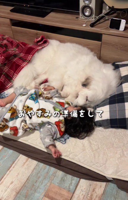 トイレから戻ってみたら…