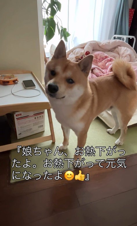 熱が下がったと聞いて、嬉しそう♪