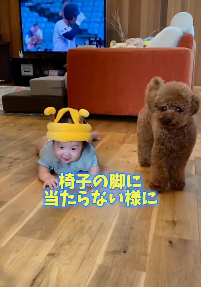 ずり這いで進む赤ちゃん