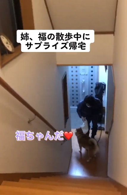 福くんを見るお姉ちゃん