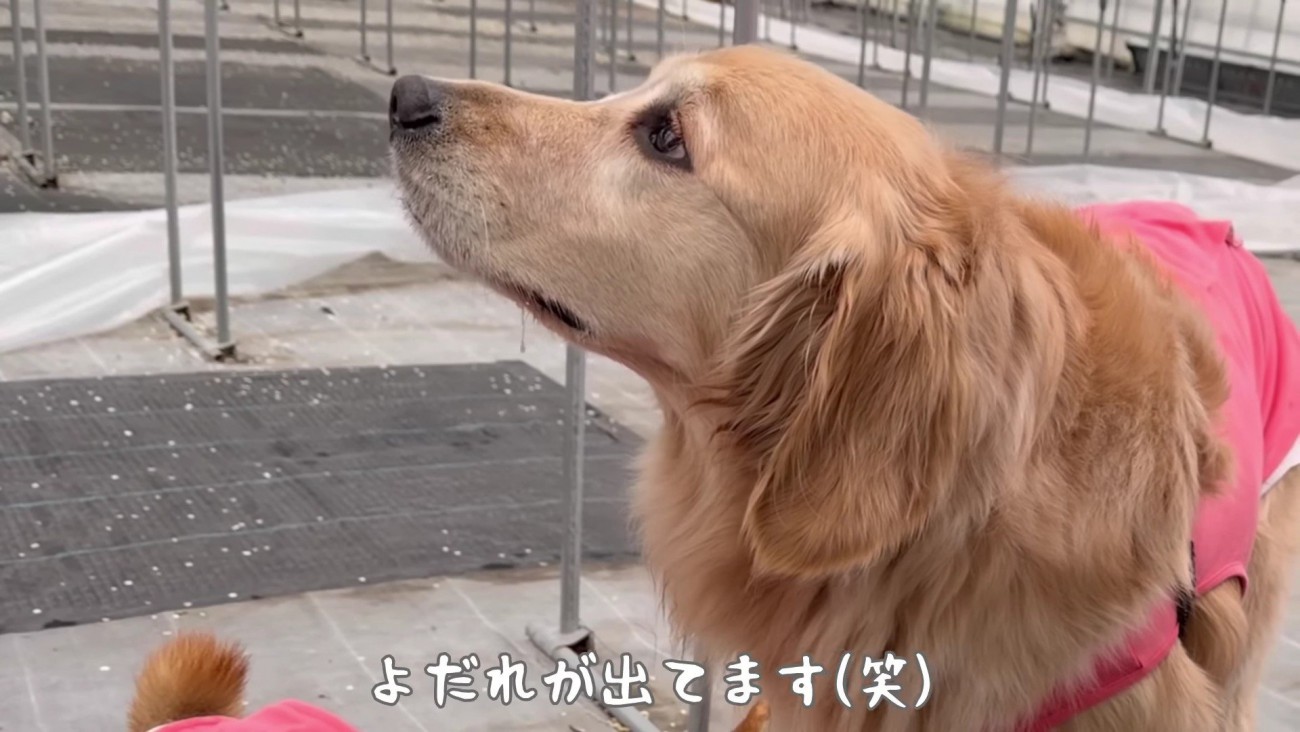 「美味しそう…」