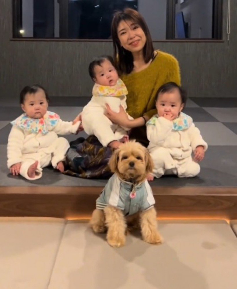 3人の赤ちゃんと女性の前に座ってカメラを見つめる犬