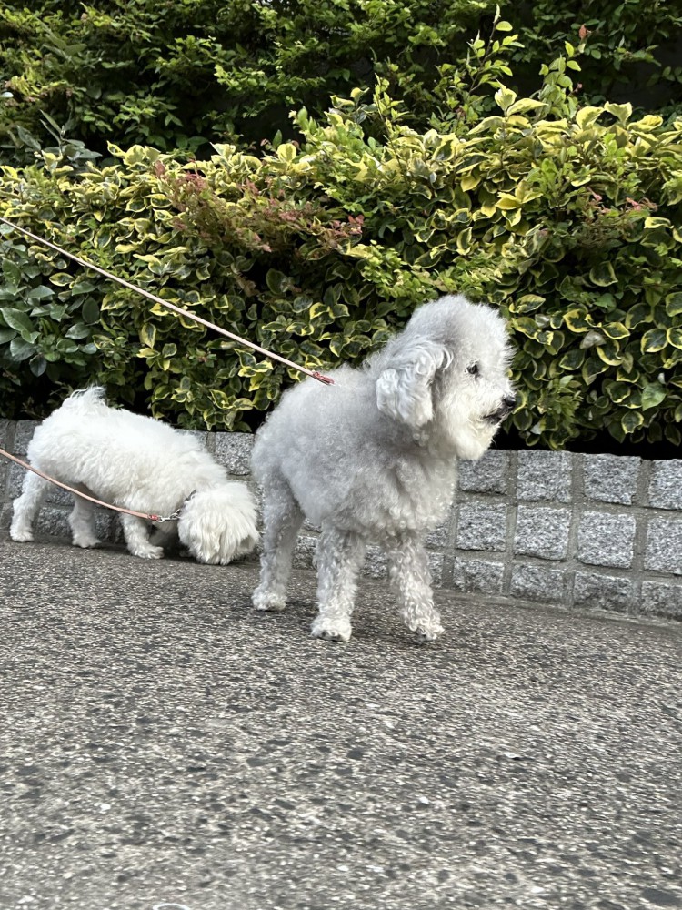 追い風