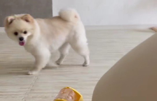 「出てきたかな？」