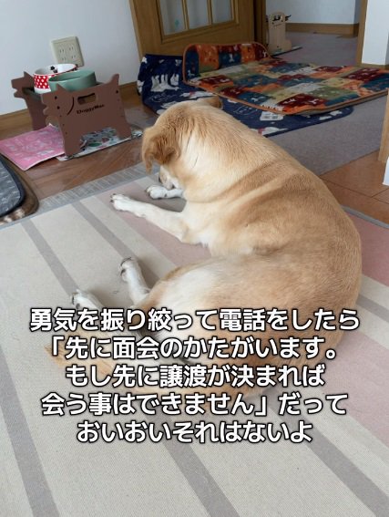 がっかりする投稿主さん
