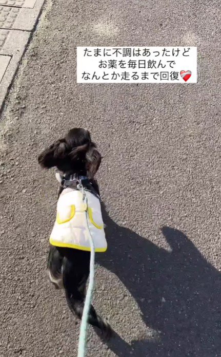 こんなに元気を取り戻したよ！