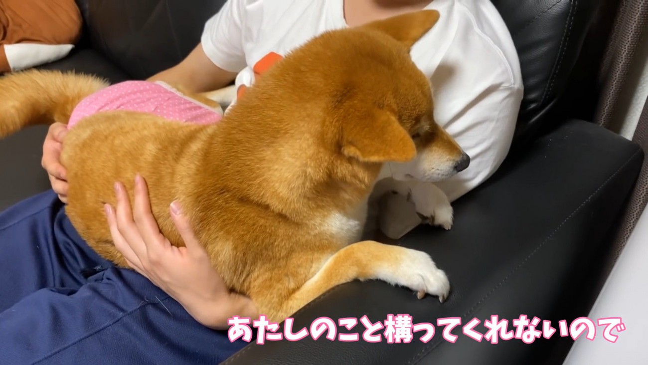 テレビに夢中になっていたら…
