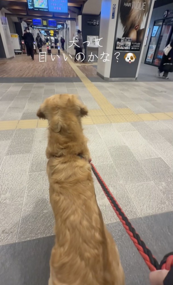 「あれは！？」