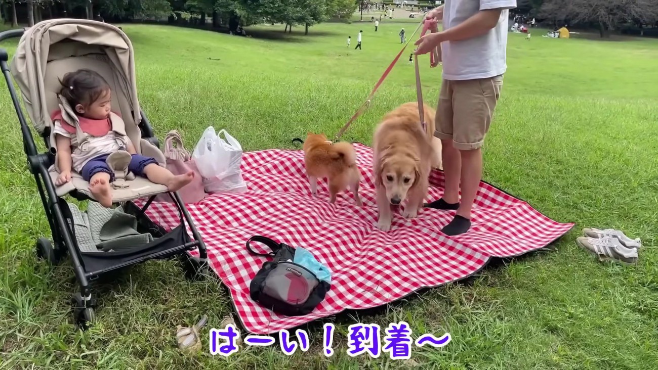 早速レジャーシートの上へ