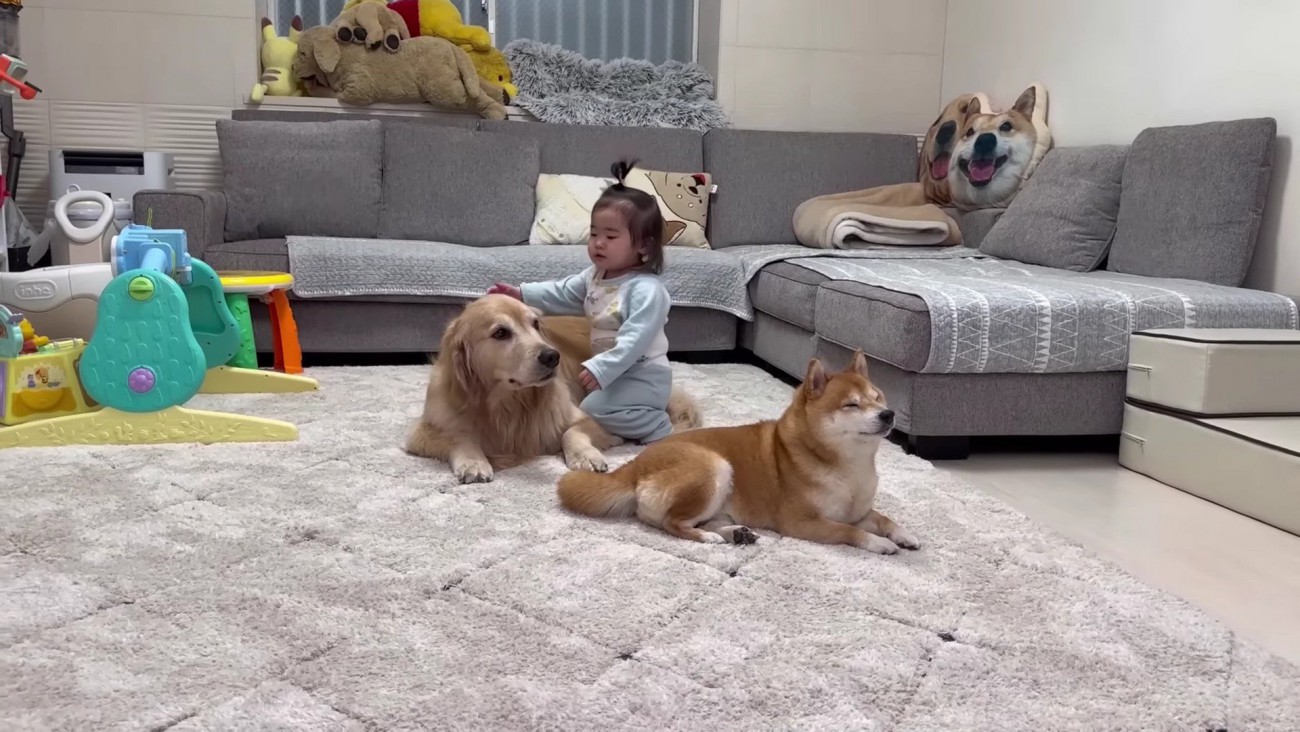 おからちゃんに近づいて…