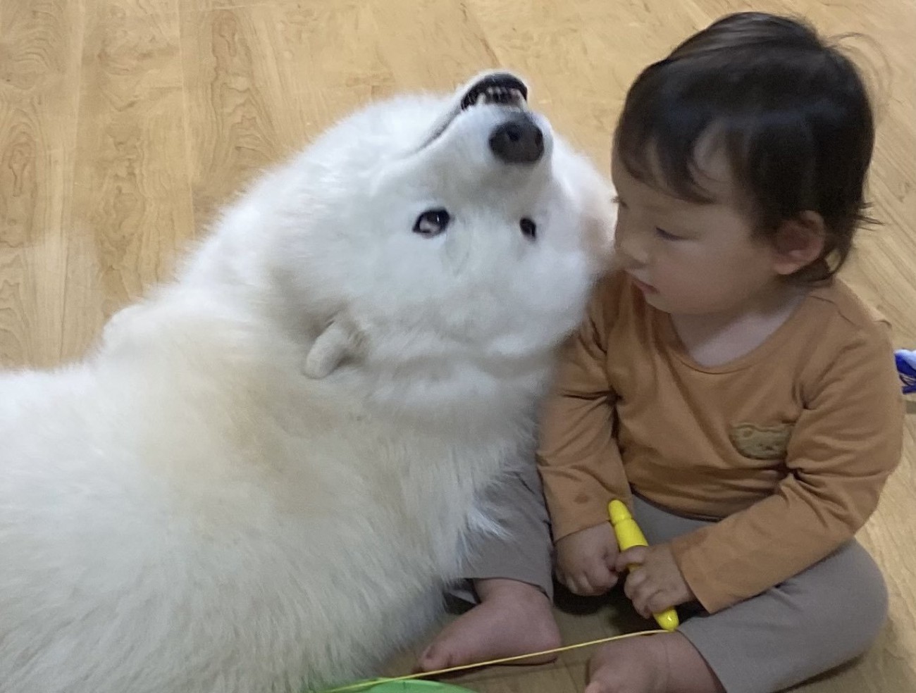 癖